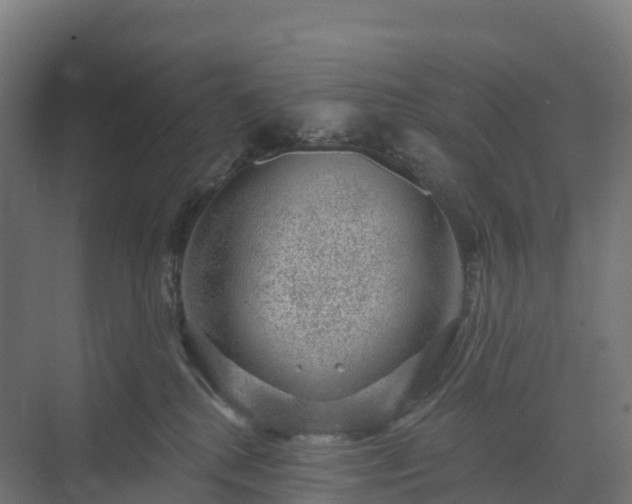 X0000074260280200609011350