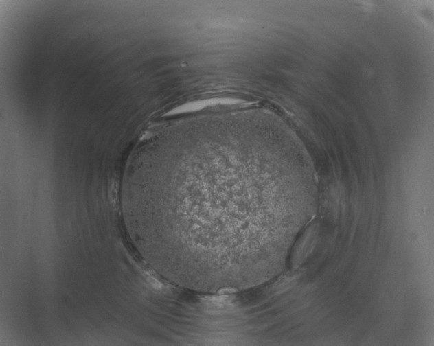 X0000074260281200609011350