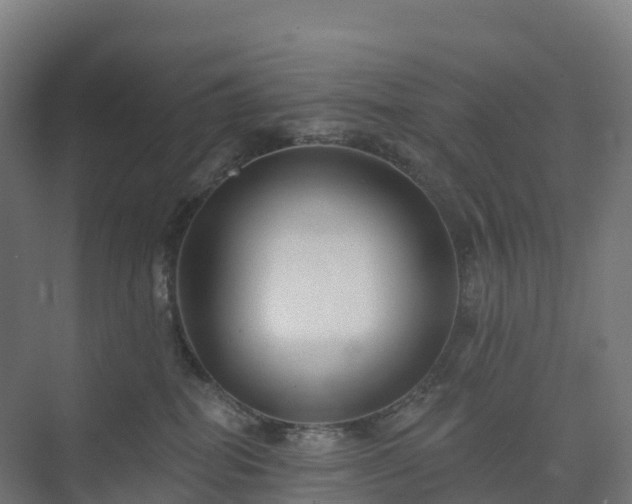 X0000074260282200609011350