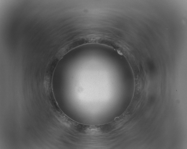 X0000074260283200609011351