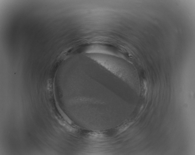 X0000074260284200609011351