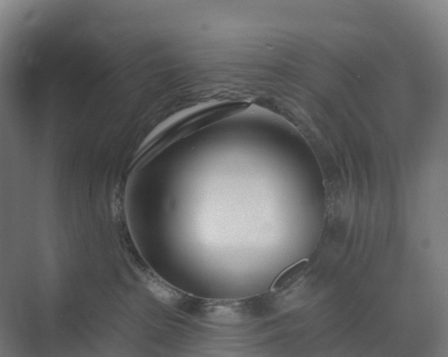 X0000074260285200609011351