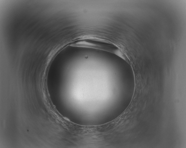 X0000074260289200609011350