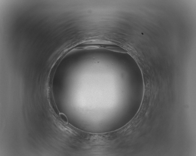 X0000074260290200609011350