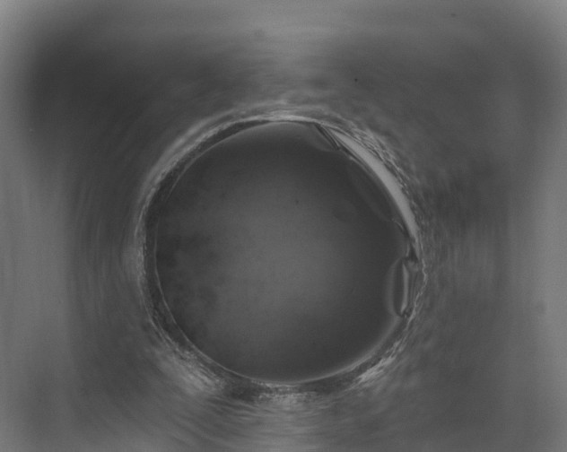 X0000074260295200609011350