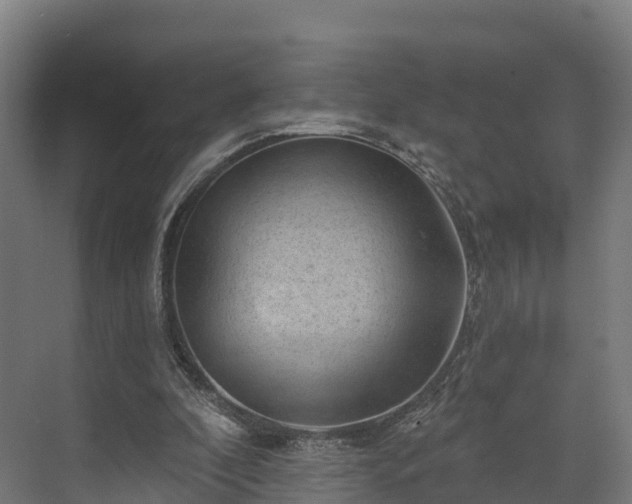 X0000074260296200609011350