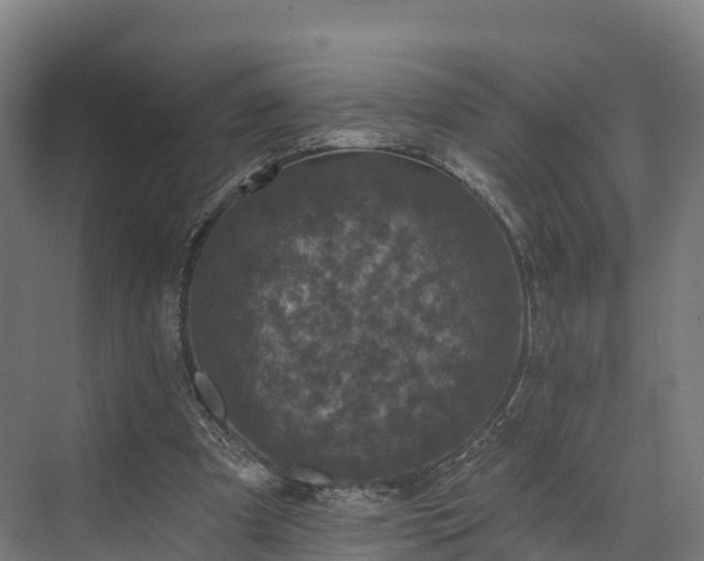 X0000074260297200609011350