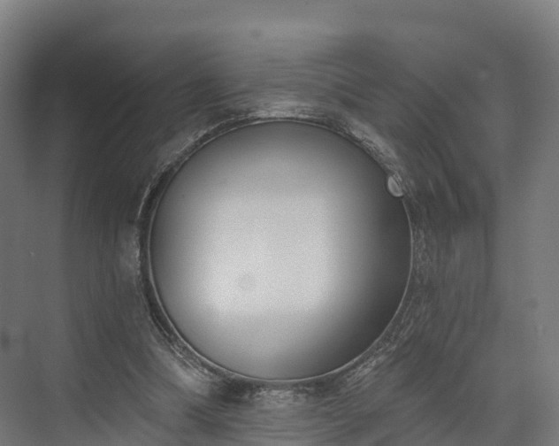 X0000074260298200609011350