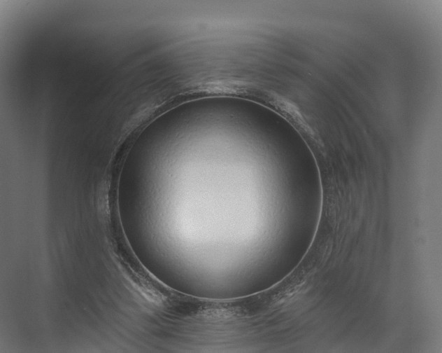 X0000074260299200609011350