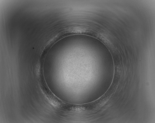 X0000074260304200609011350