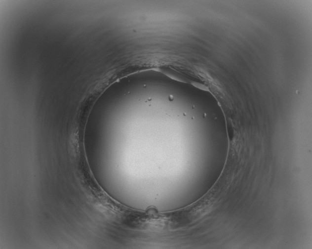 X0000074260306200609011349