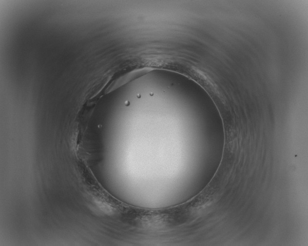 X0000074260307200609011349