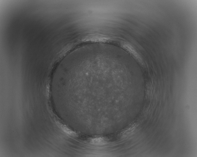 X0000074260309200609011349