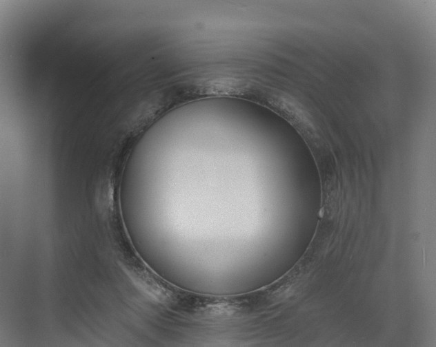 X0000074260310200609011349