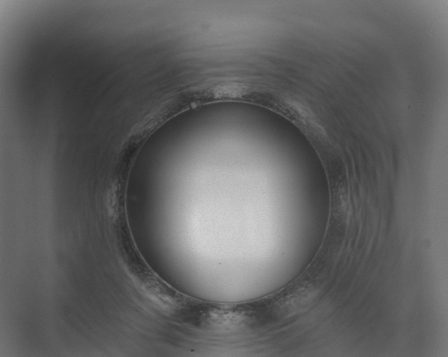 X0000074260311200609011349