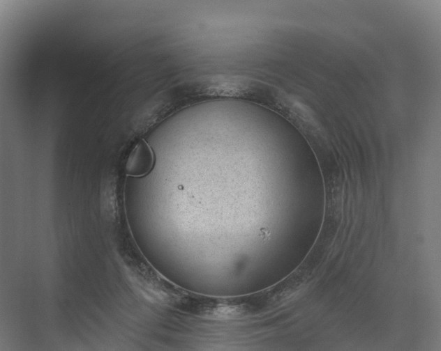 X0000074260312200609011349