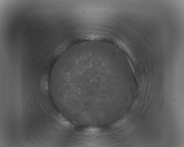 X0000074260313200609011349