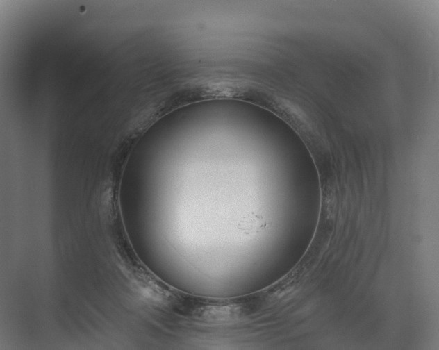 X0000074260314200609011349