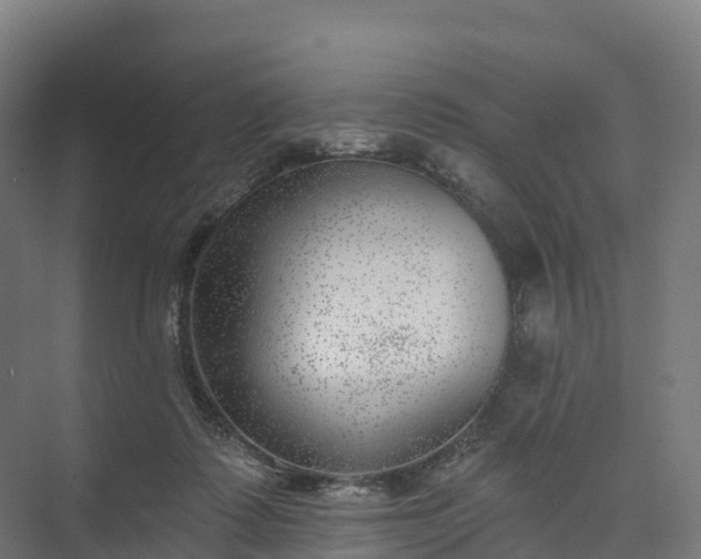 X0000074260315200609011349