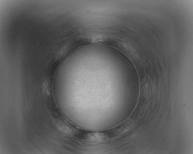 X0000074260316200609011349