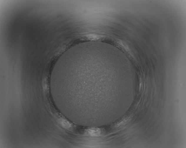 X0000074260317200609011349