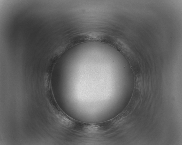 X0000074260318200609011349