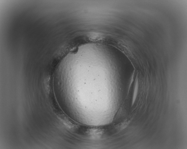 X0000074260319200609011349