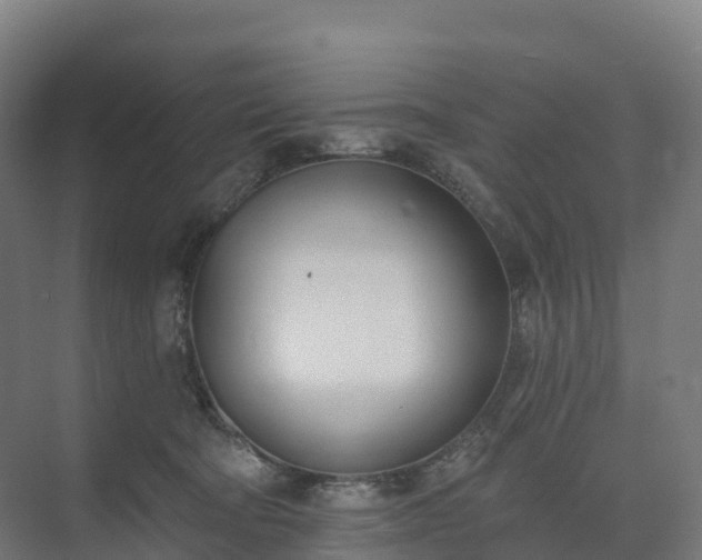 X0000074260322200609011349