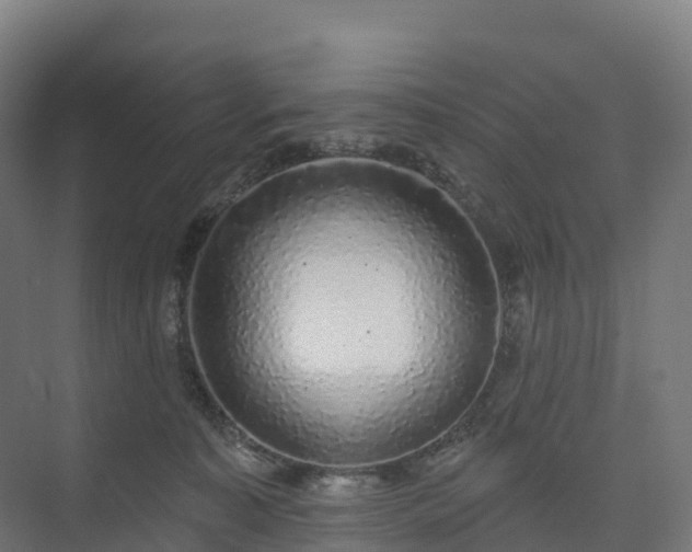 X0000074260323200609011349