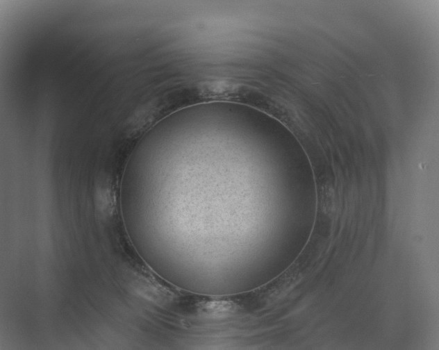 X0000074260324200609011349