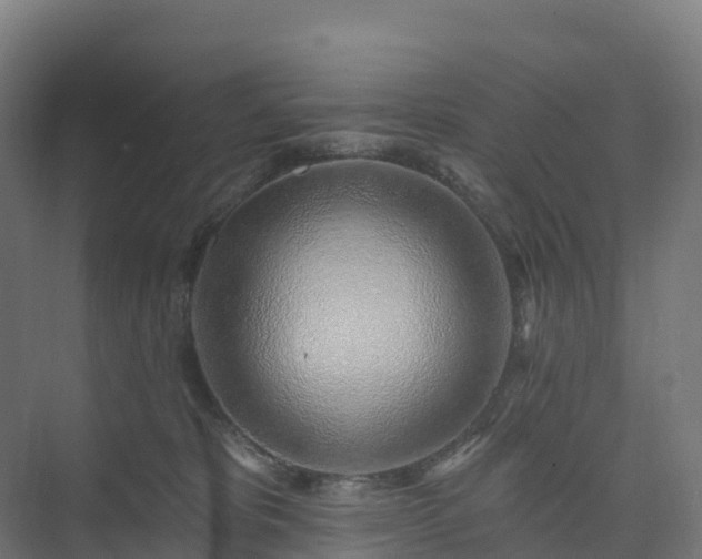 X0000074260325200609011349