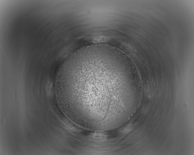 X0000074260327200609011349