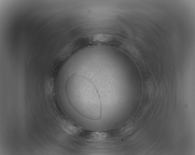 X0000074260328200609011349