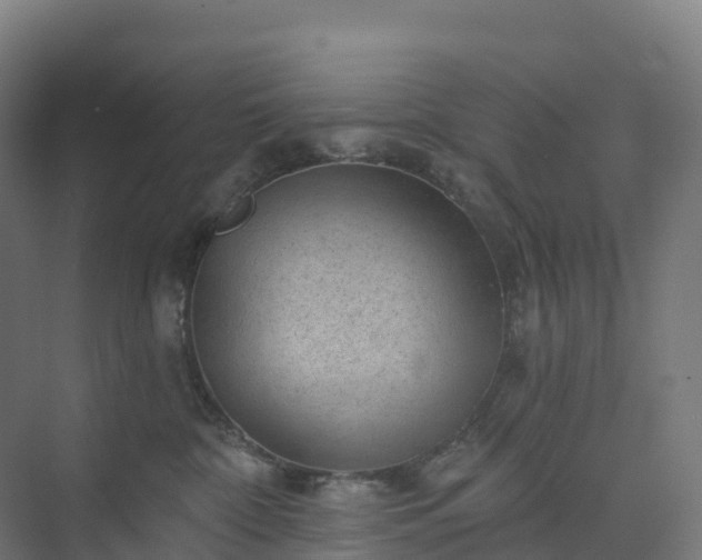 X0000074260332200609011349