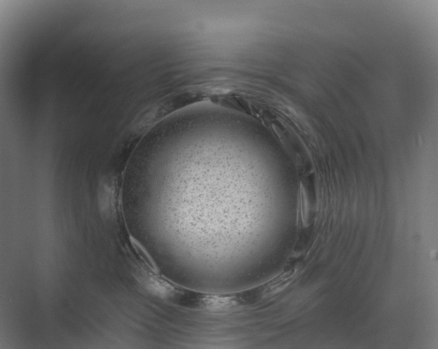 X0000074260333200609011349