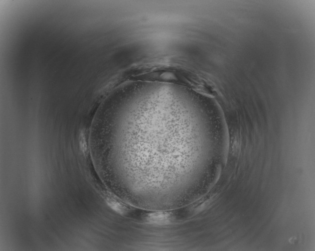 X0000074260335200609011349