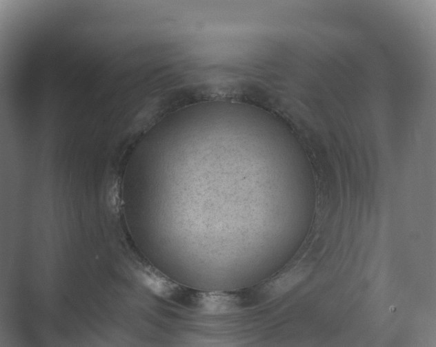 X0000074260336200609011349