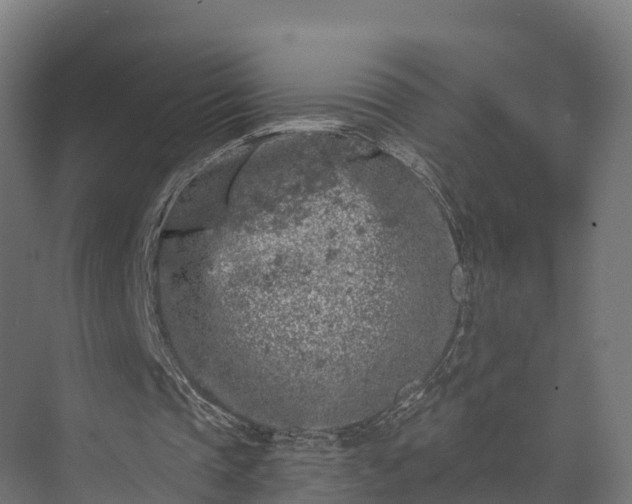 X0000074260337200609011348