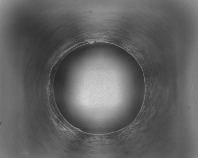 X0000074260338200609011348