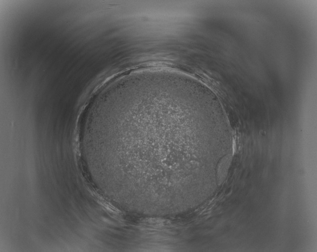 X0000074260339200609011348