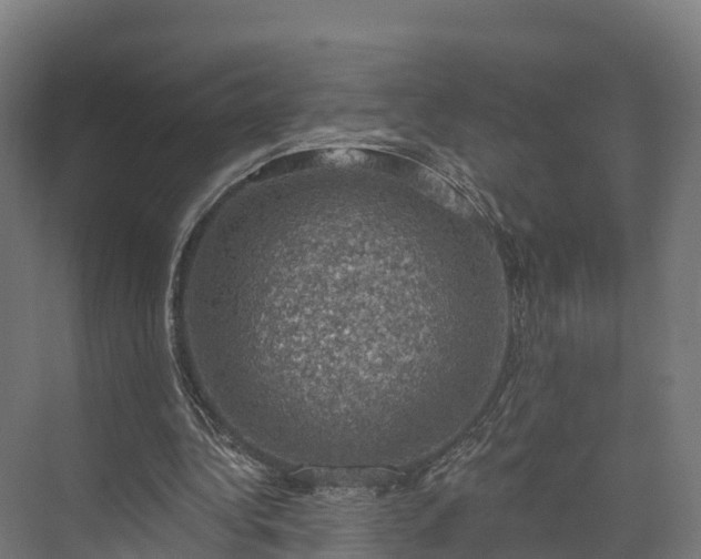 X0000074260340200609011348