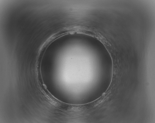 X0000074260341200609011348