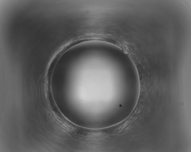 X0000074260342200609011348