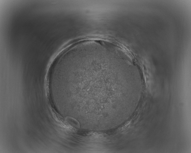 X0000074260343200609011348