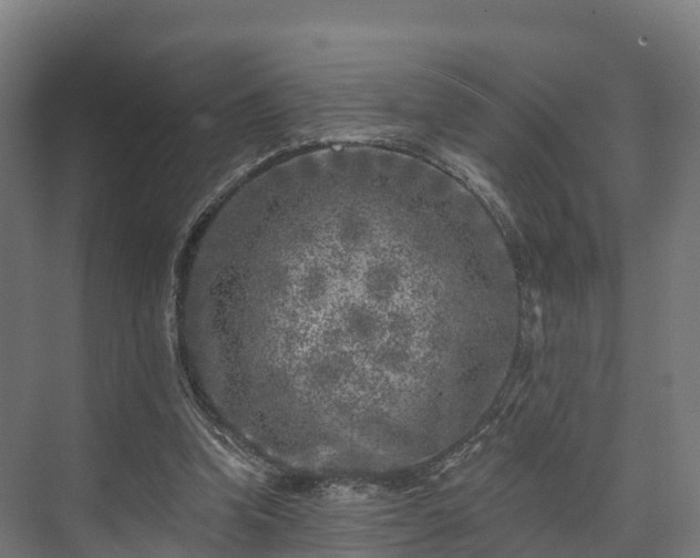 X0000074260346200609011348