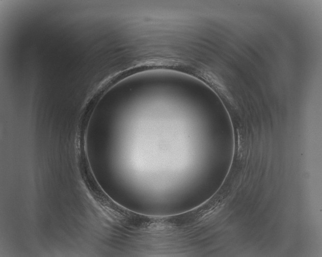 X0000074260348200609011348