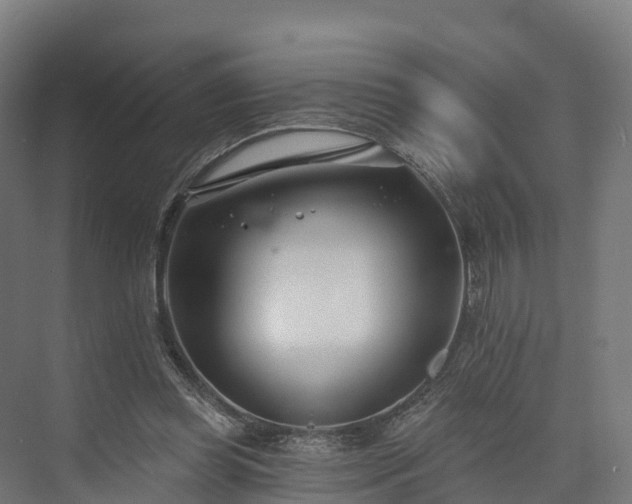 X0000074260349200609011348