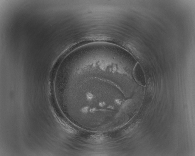 X0000074260351200609011348