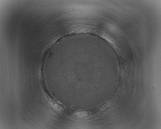 X0000074260353200609011348