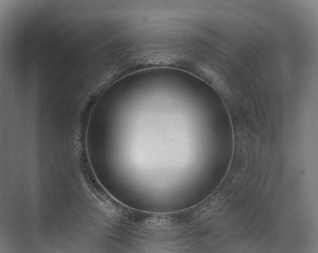 X0000074260354200609011348